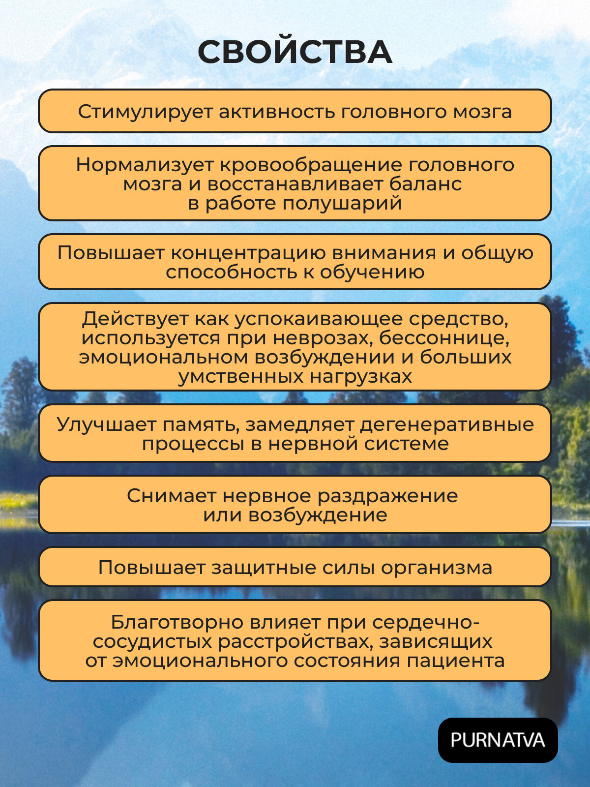 Таблетки Брами Шри Шри (Brahmi Sri Sri) для стимуляции функций мозга и нервной системы, от головной боли и улучшения памяти, 60 таб.