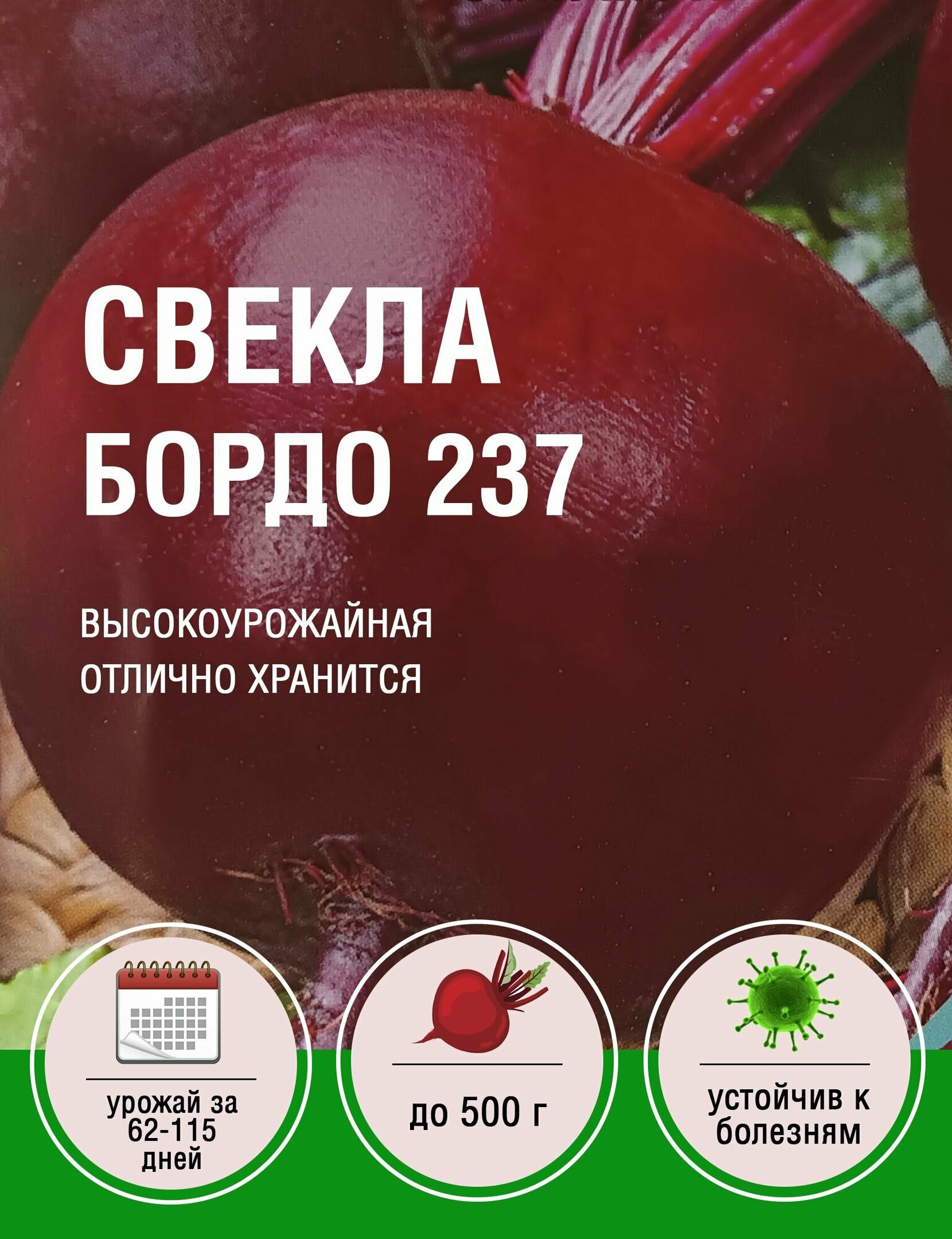 фото Свекла Бордо (5 пакетов по 3гр)