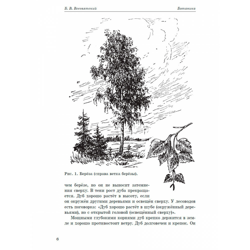 Ботаника. Учебник для 5-6 классов средней школы. 1957 год - фото №6