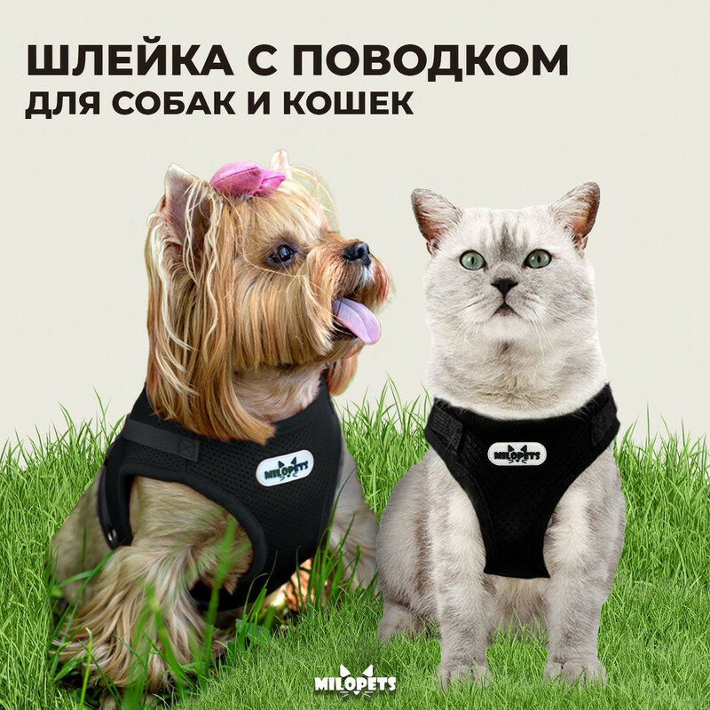 Шлейка MiloPets для собак мелких пород и кошек с поводком 120 см, черный, S 29-34 см