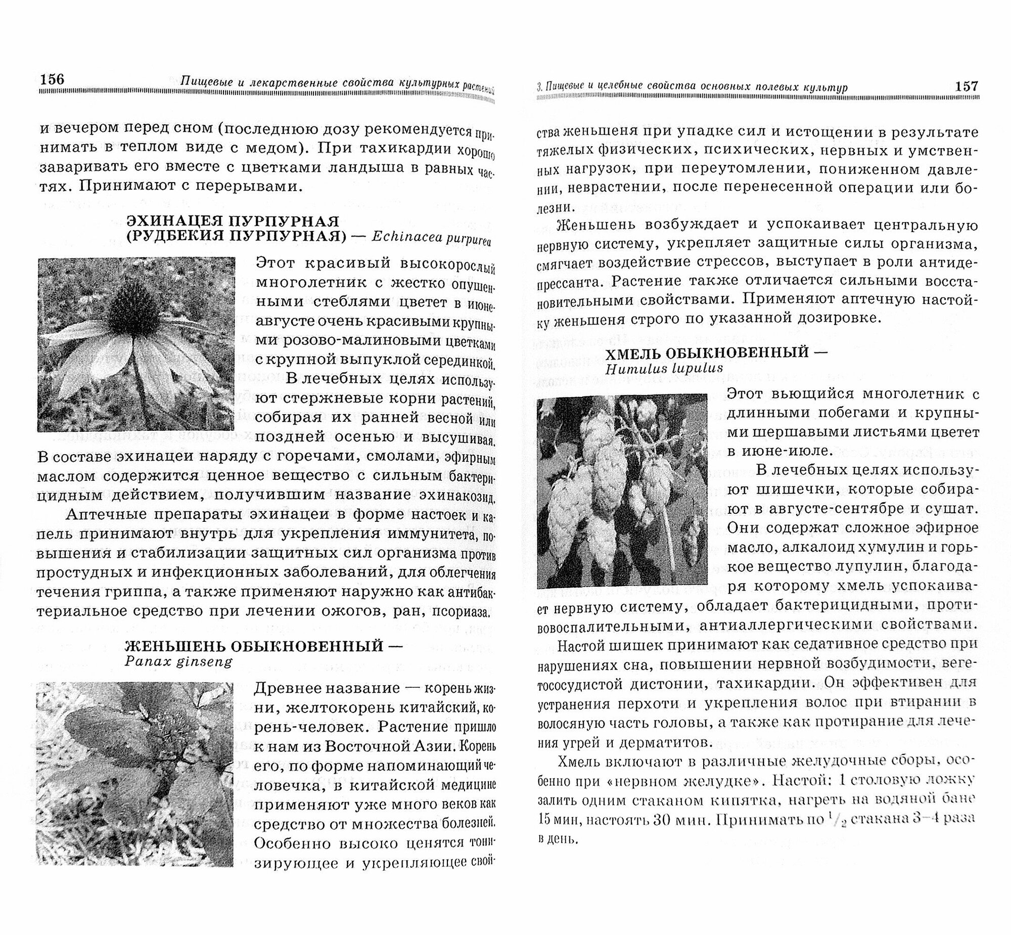 Пищевые и лекарственные свойства культурных растений. Учебное пособие - фото №3