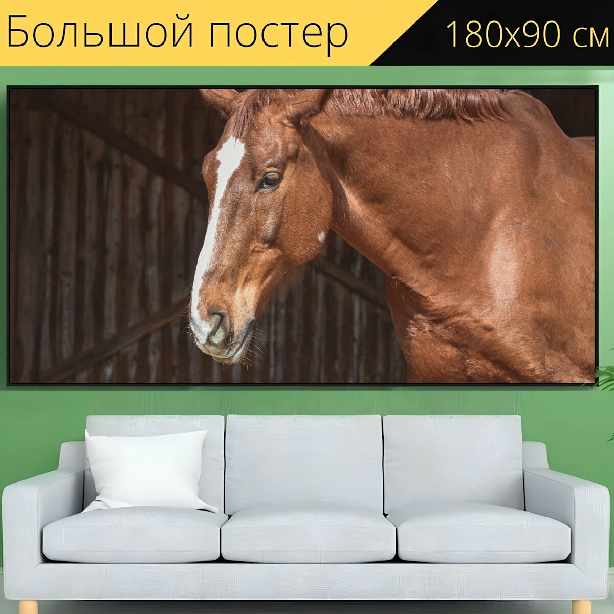 Большой постер "Лошадь, жеребец, животное" 180 x 90 см. для интерьера