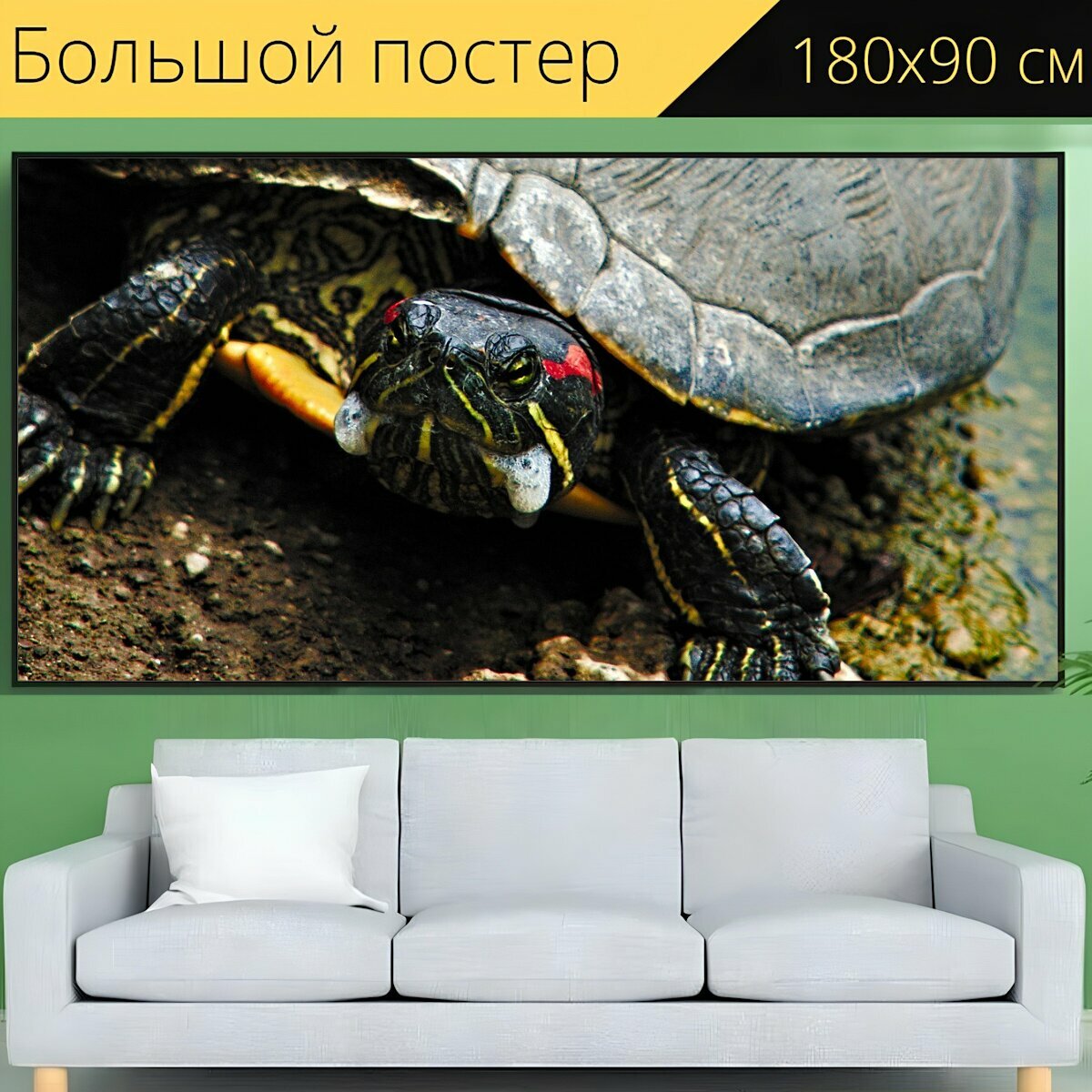 Большой постер "Черепаха, природа, животное" 180 x 90 см. для интерьера