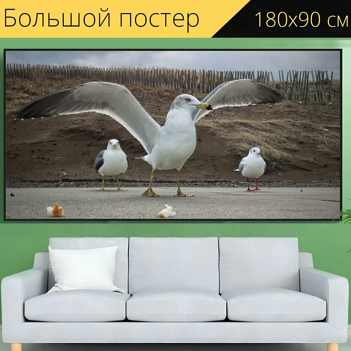 Большой постер "Пляж, променад, чайка" 180 x 90 см. для интерьера