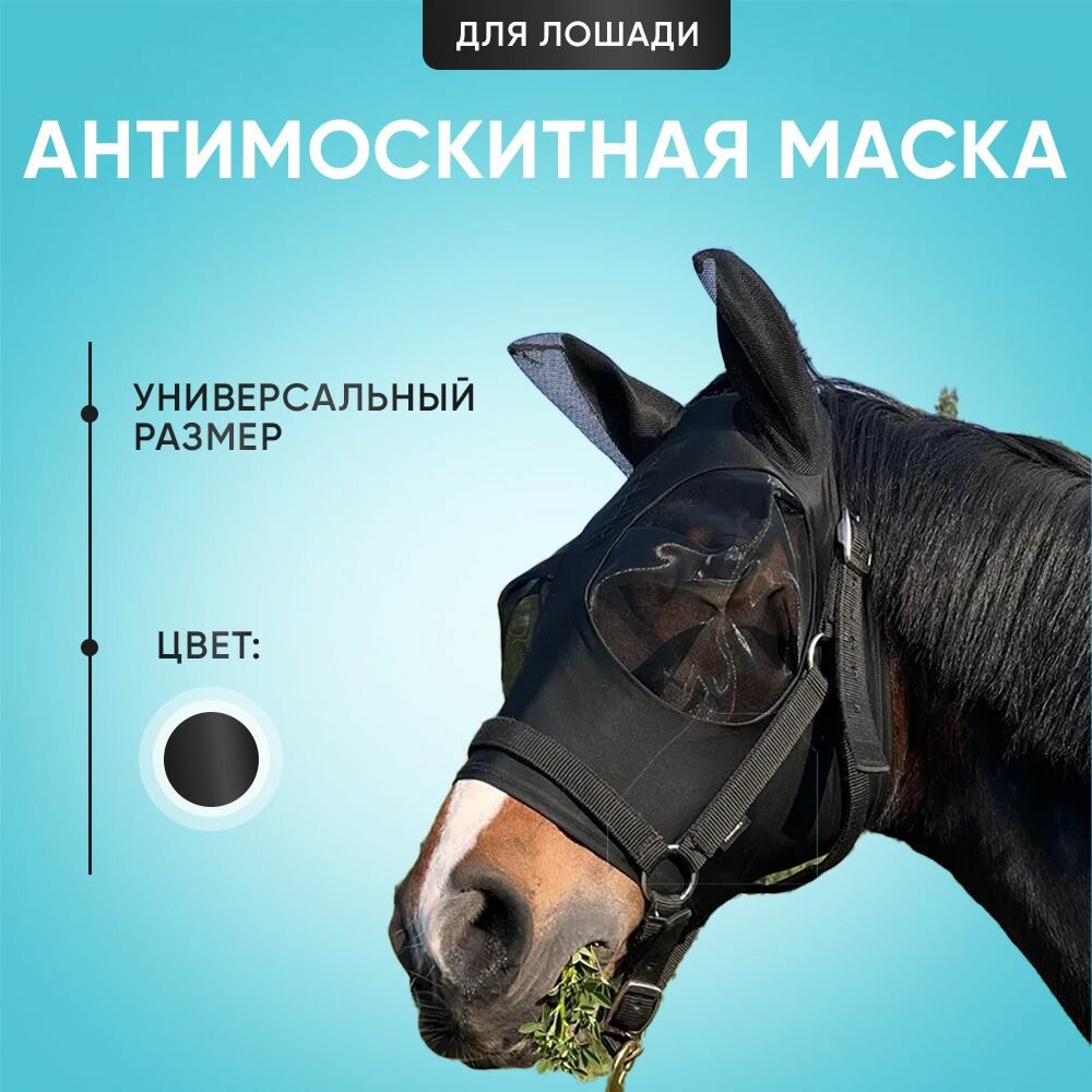 Антимоскитная маска для лошади. Маска от мух для лошадей.