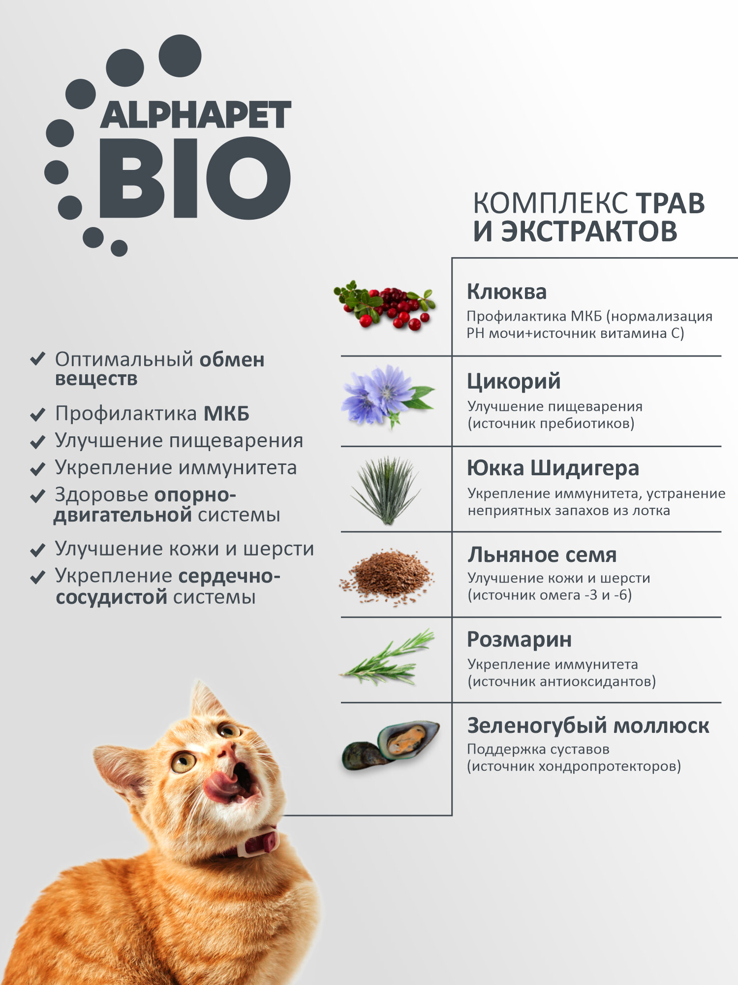 Сухой полнорационный корм с ягненком для взрослых кошек с чувствительным пищеварением АльфаПет 0,4кг