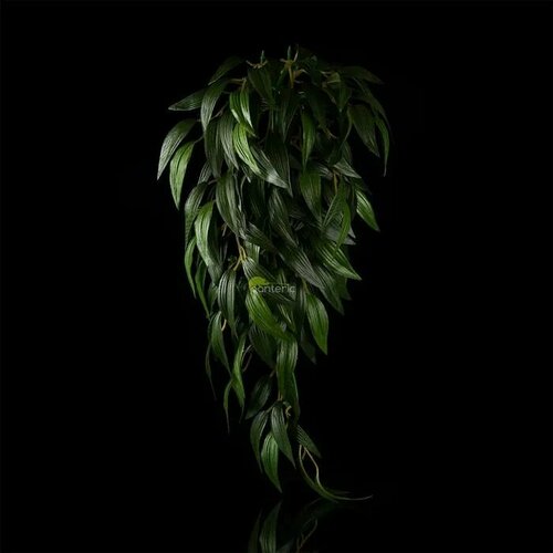 Навесное искусственное растение - Exo-Terra Ruscus (Silk), Large тропическое растение exo terra jungle plants пластиковое фикус большое 70х20 см