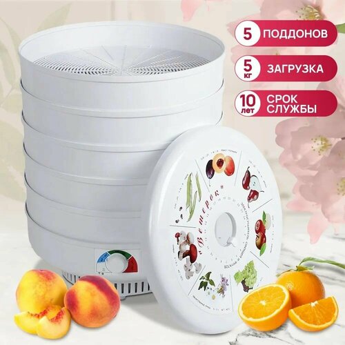 Сушилка для овощей и фруктов ВетерокЭСОФ-05220-03 ПП 5 поддонов гофрокороб 493000₽