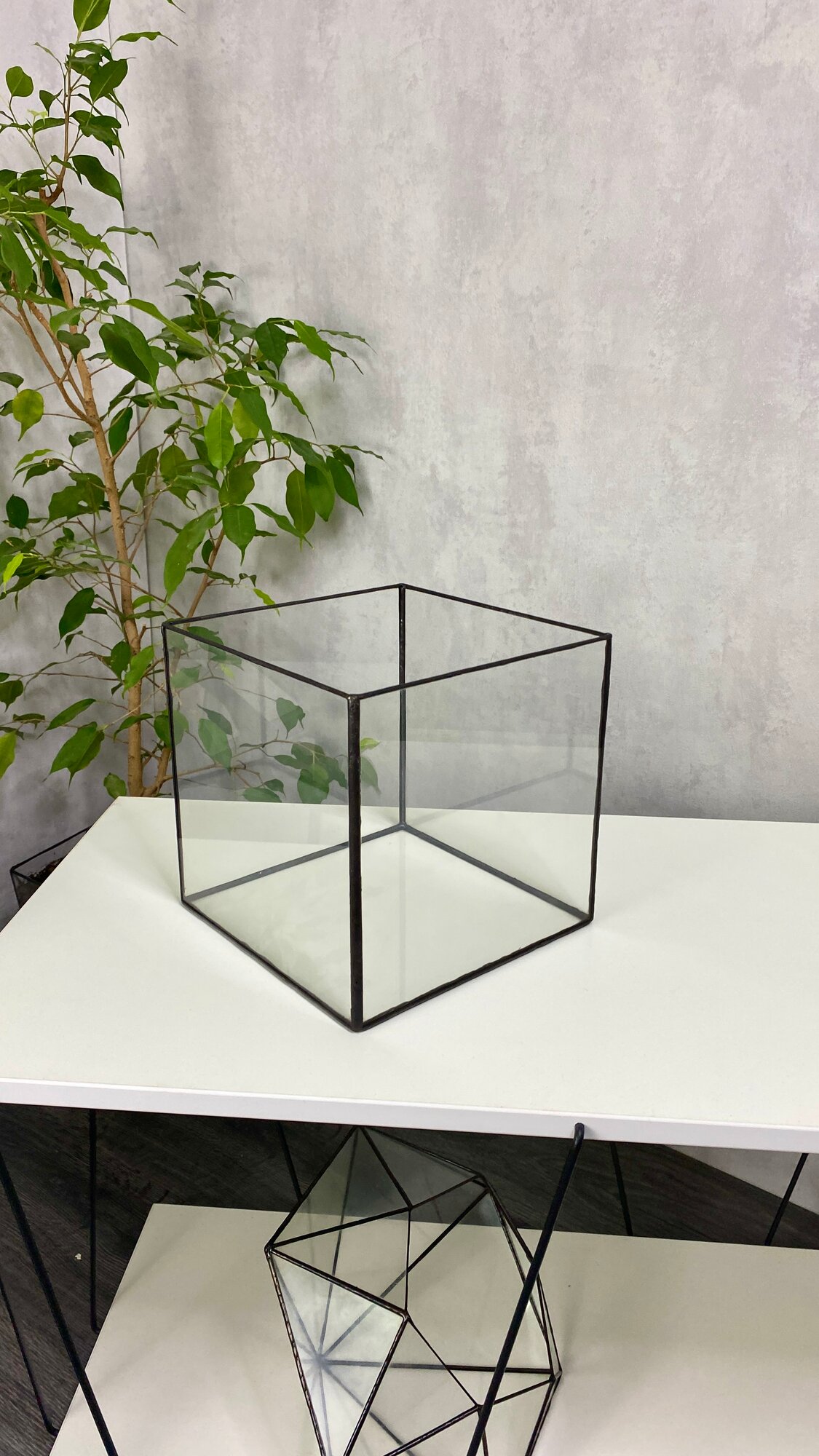 фото Флорариум (кашпо) квадрат S