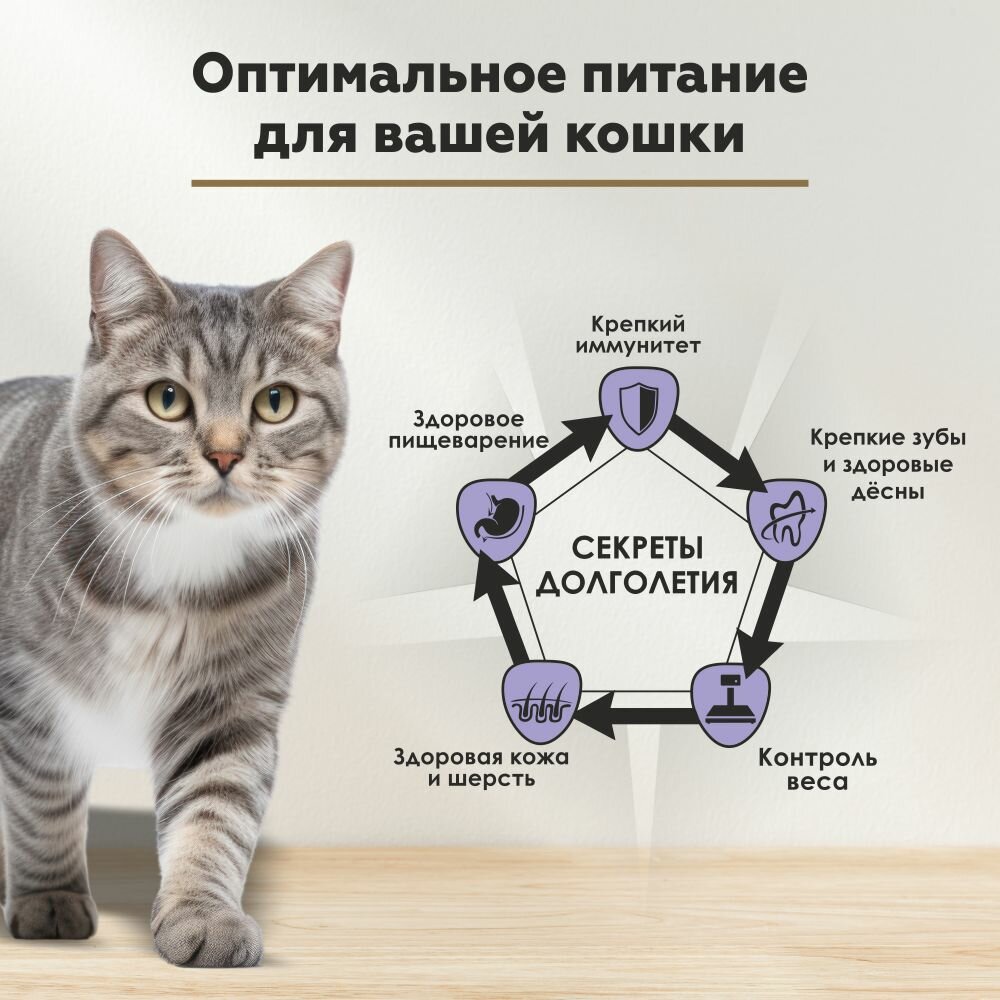 Влажный корм для стерилизованных кошек и кастрированных котов Secret Life force с кроликом, кусочки в соусе, 24 шт х 85г — фото 1
