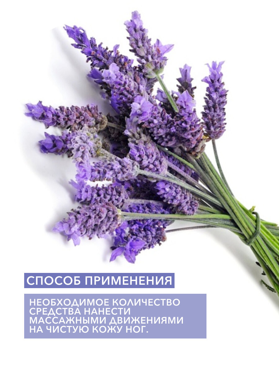 Крем для ног Bielenda Lavender foot care сильно смягчающий 100мл - фото №4