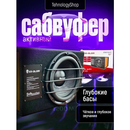 Активный сабвуфер E5 OLOM P12 12 дюймов 3200 W 1399900₽