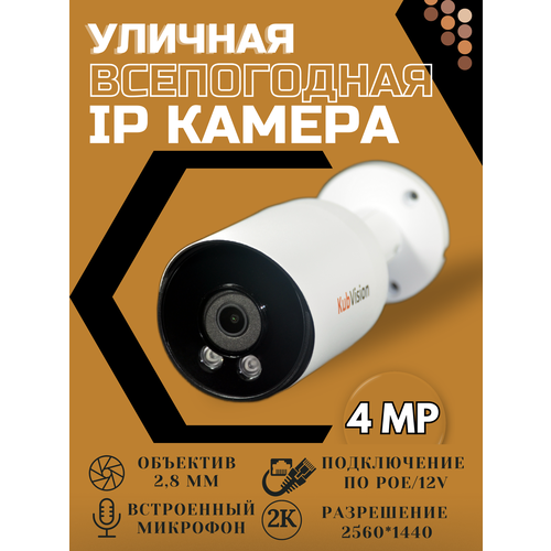 Уличная камера видеонаблюдения IP c POE с микрофоном для видеорегистратора 565000₽
