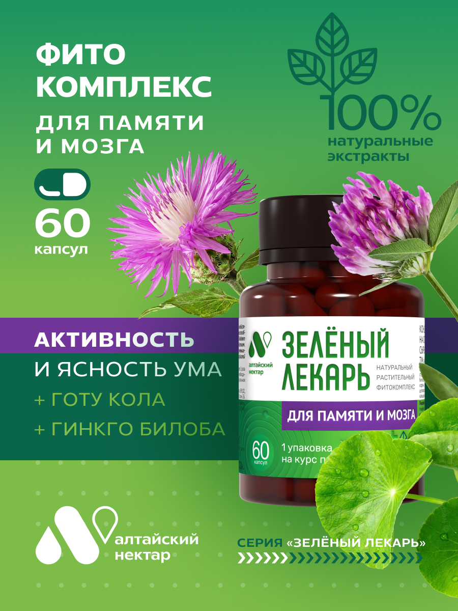 Фитокомплекс с гинкго билоба и готу кола ноотроп для мозга и памяти