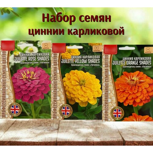 Семена цветов для сада Цинния карликовая набор 3 уп. семена цветов маттиола карликовая набор 3 уп