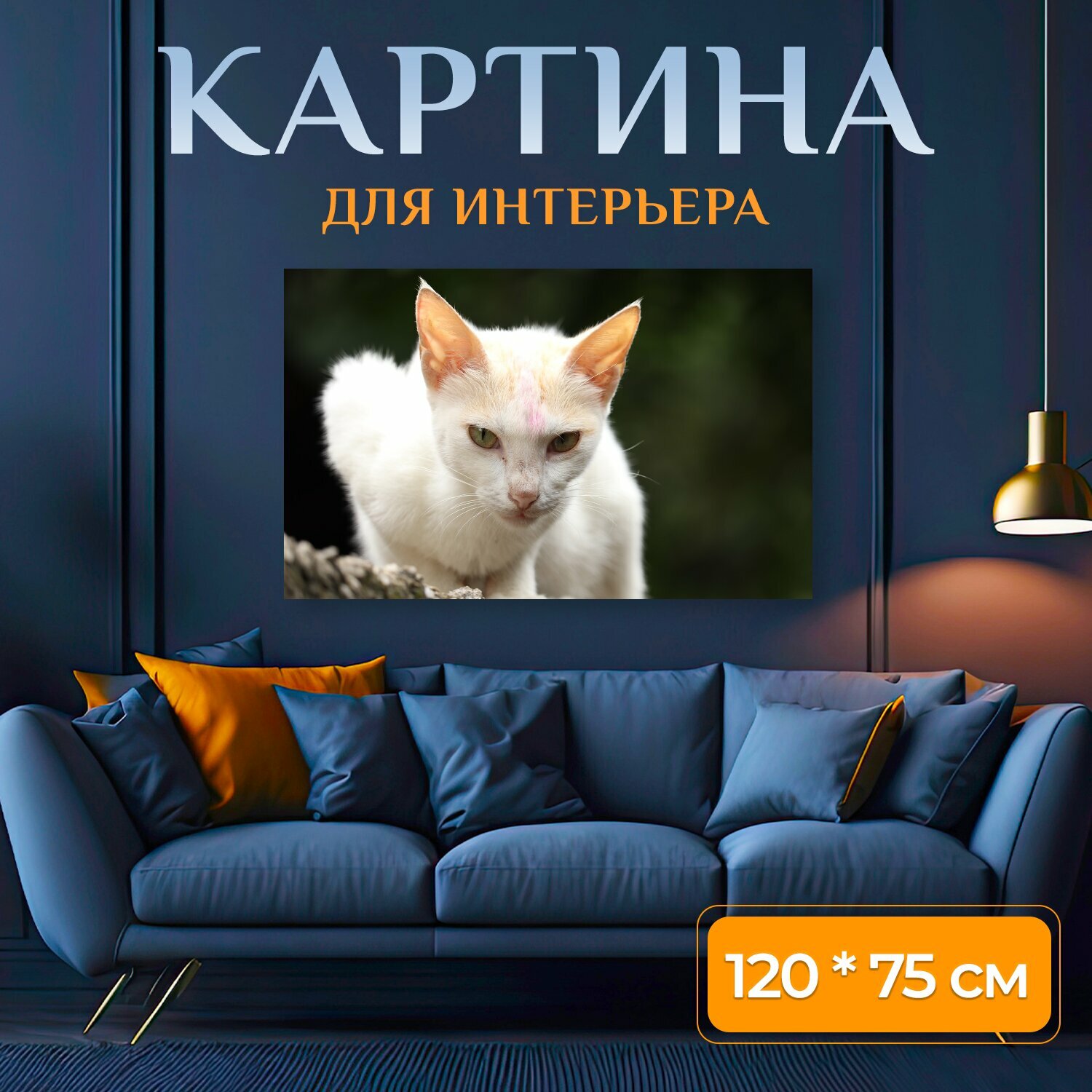 Картина на холсте "Кошка кошачий одомашненный" на подрамнике 120х75 см. для интерьера