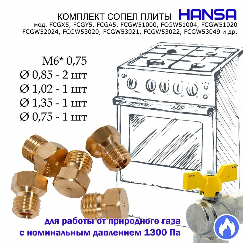 Комплект жиклеров форсунок газовой плиты "Hansa" под природный газ