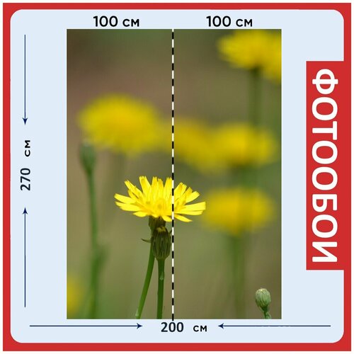 Фотообои Желтый цветы природа 200x270 см флизелиновыена стену 2940₽