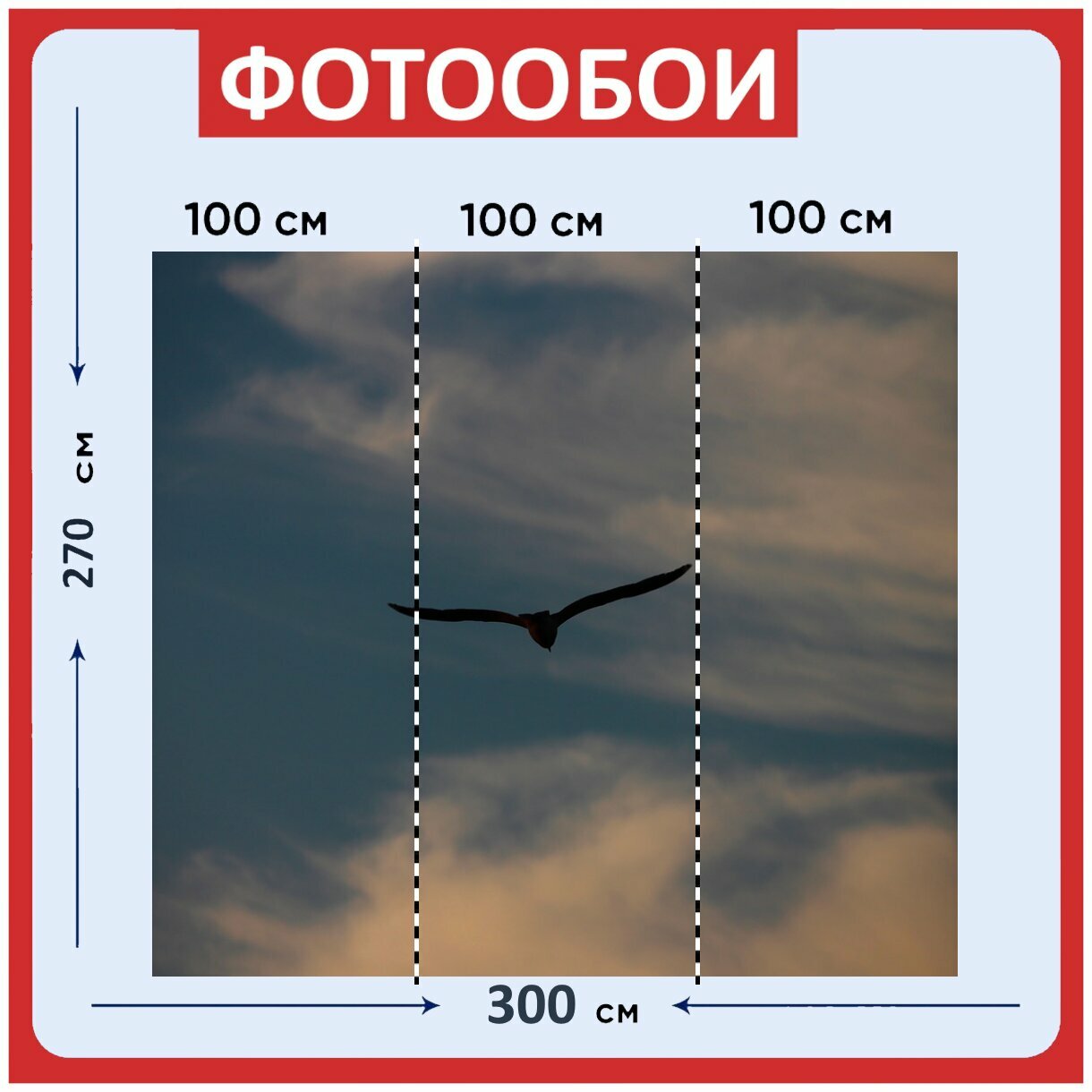 Фотообои "Чайка, летающий, полет" 300x270 см. флизелиновыена стену