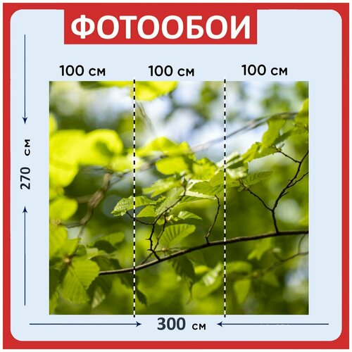 Фотообои Листья лес зеленый 300x270 см флизелиновыена стену 3980₽