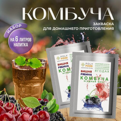 Изображение товара Комбуча, сухая закваска для ягодного кваса Poly Food, вишня-рябина