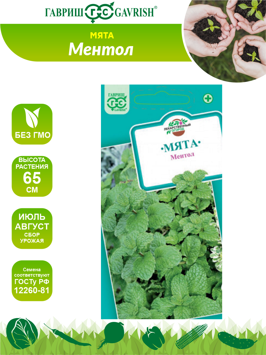 Семена Мята Ментол 005 гр.