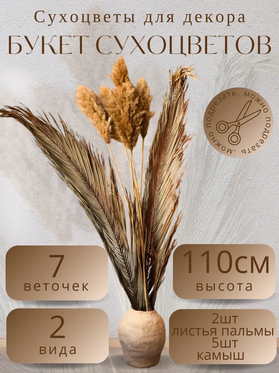 Букет сухоцветов LampasPampas, для декора, 7 веточек, высота 110см