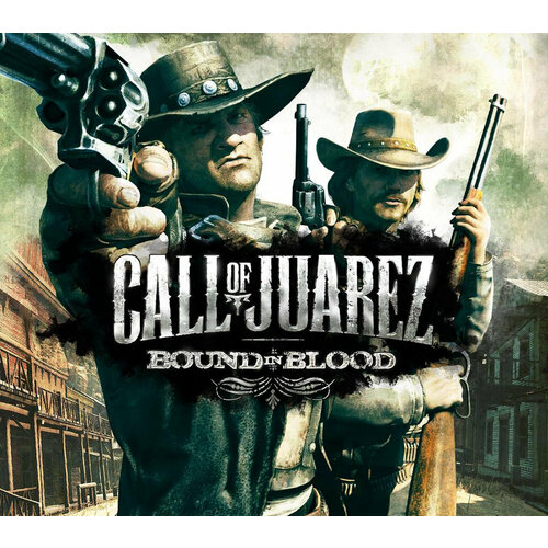 Игра Call of Juarez Bound in Blood Steam Все страны 215₽