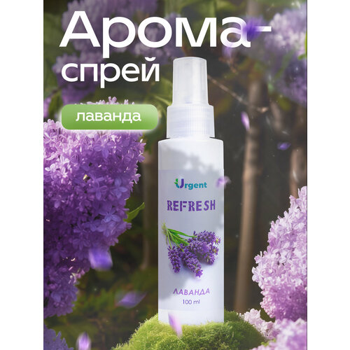 Ароматизатор для дома 