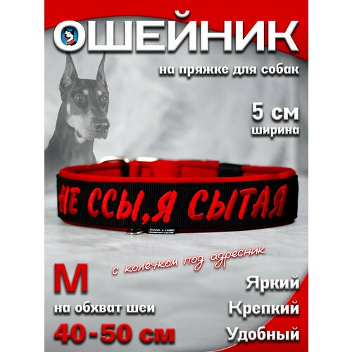 Ошейник для собак Buddy team на пряжке, с вышивкой НЕ ССЫ Я сытая, ширина 5 см, с мягким подкладом для средних и крупных пород, размер M