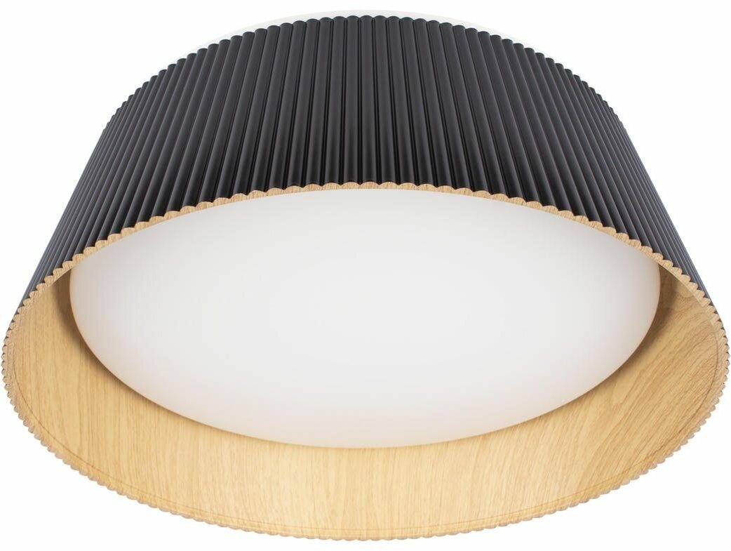 Потолочный светильник светодиодный Loft It Evans 10224 Black — фото 1