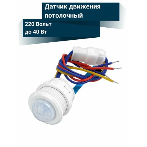 Датчик движения 220 вольт, потолочный, горизонтальный