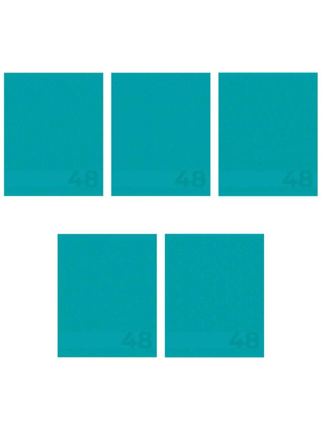 Комплект тетрадей А5, 48 листов, 5 шт, в клетку, для мальчиков, произведено в России