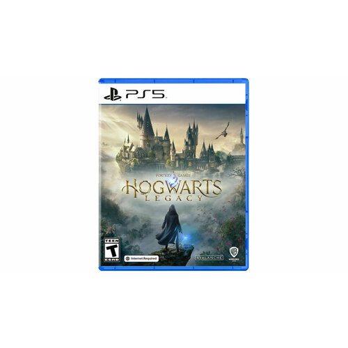 SONY PS5 Hogwarts Legacy [Russian subtitles]