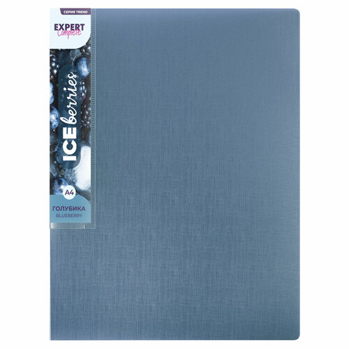 Expert Complete Trend ICEberries Папка пруж. скоросш. A4 700 мкм 20 мм 1 шт. голубика EC210520071