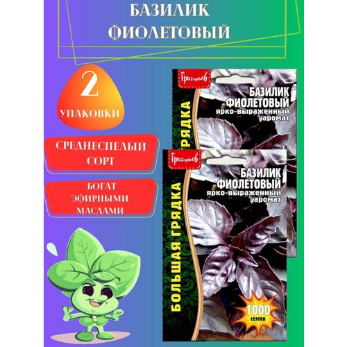 Семена Базилик Фиолетовый,2 упаковки семена базилик витаминчик фиолетовый 3 упаковки 2 подарка