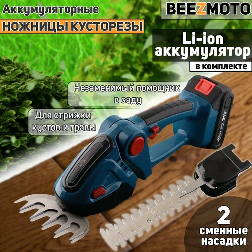 BEEZMOTO"