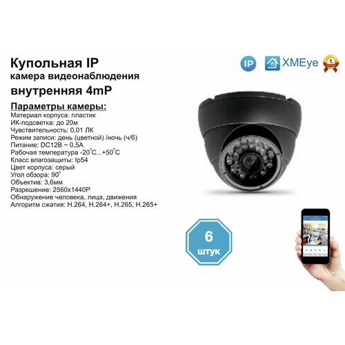 (6шт) DVS300IP4MP. Внутренняя IP камера 4мП с ИК до 20м.