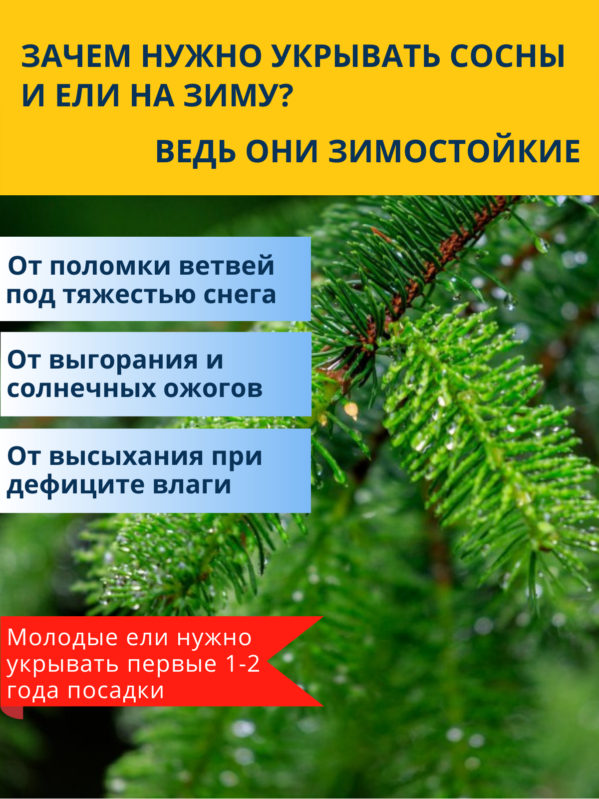 Укрытие для молодых деревьев на зиму Чеховский завод материалов Прекрасный сад 1,2 х 2,0м — фото 11