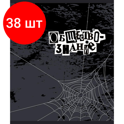 Комплект 38 штук, Тетрадь предметная 48л А5 клетка УФ-лак, №1 School -Панк- обществознание тетрадь предметная 48л artspace калейдоскоп обществознание