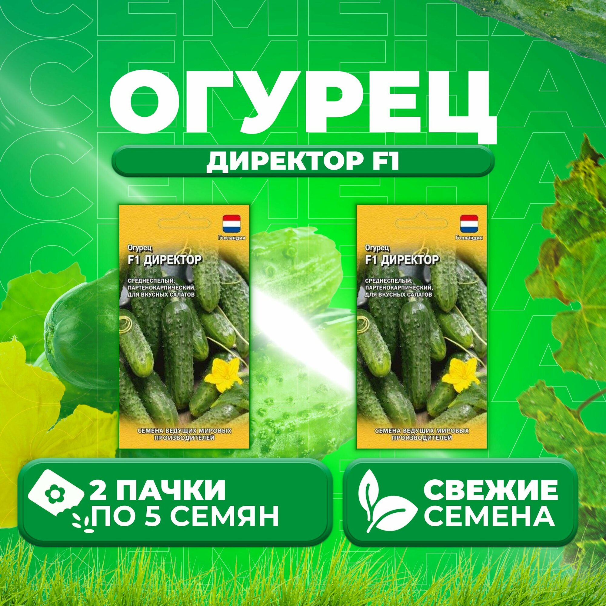 Огурцы, Разнообразные овощи Агрофирма Партнер о12050_10 - купить по выгодным цен