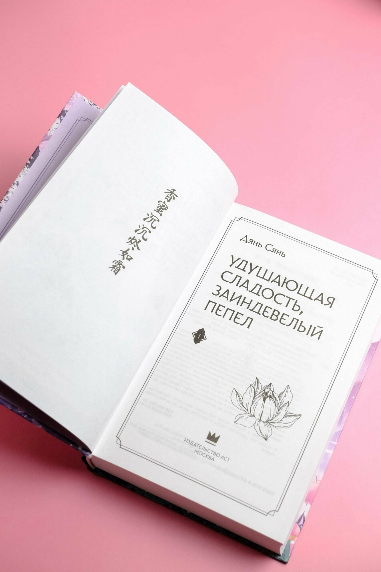 Удушающая сладость, заиндевелый пепел. Книга 1 - фото №14