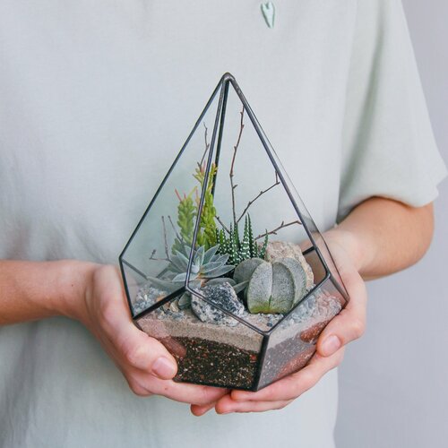 Флорариум капелька с теневыносливыми суккулентами от SEVERINSIDE 4890₽