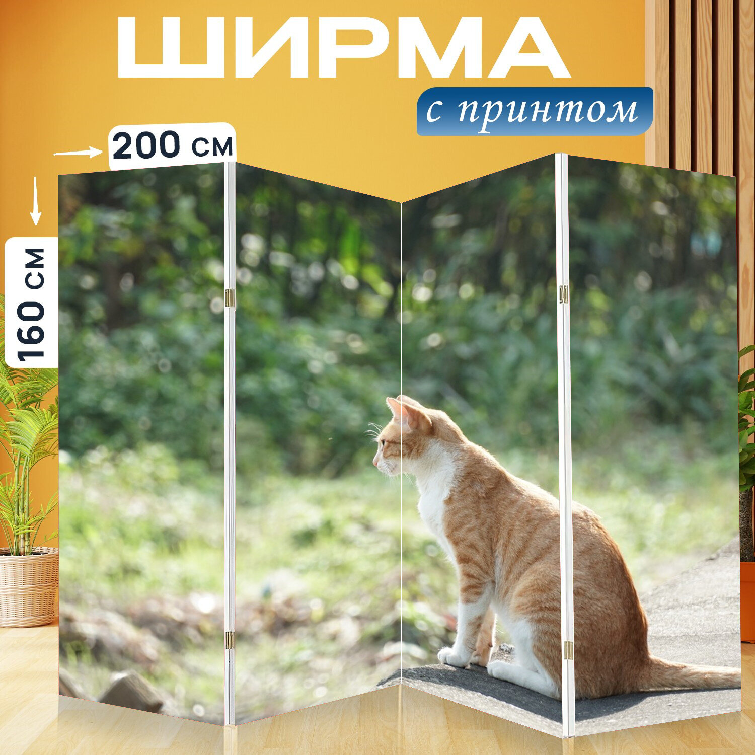 Ширма перегородка с принтом "Оглянись, считать, кошка" на холсте - 200x160 см. для зонирования, раскладная