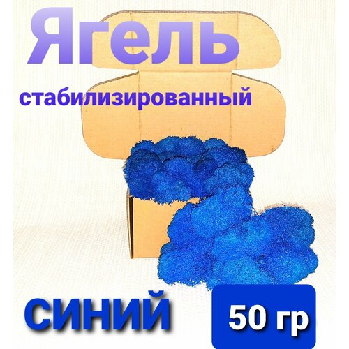 Мох ягель стабилизированный синий 50 гр 349₽