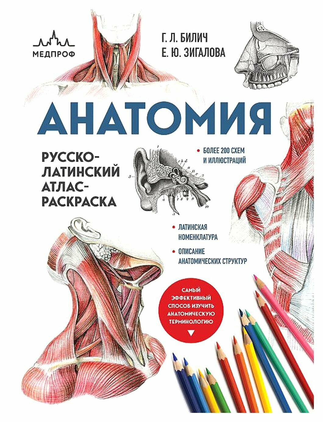 Анатомия: русско-латинский атлас-раскраска. Билич Г. Л, Зигалова Е. Ю. ЭКСМО