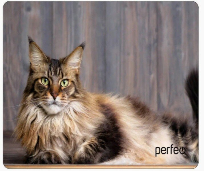 Perfeo Коврик для мыши Perfeo Cat рис.5, 350x300x3 мм