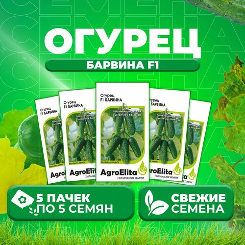 Огурец Барвина F1, 5шт, AgroElita, Nunhems (5 уп) семена огурец барвина f1 5шт agroelita nunhems 3 упаковки