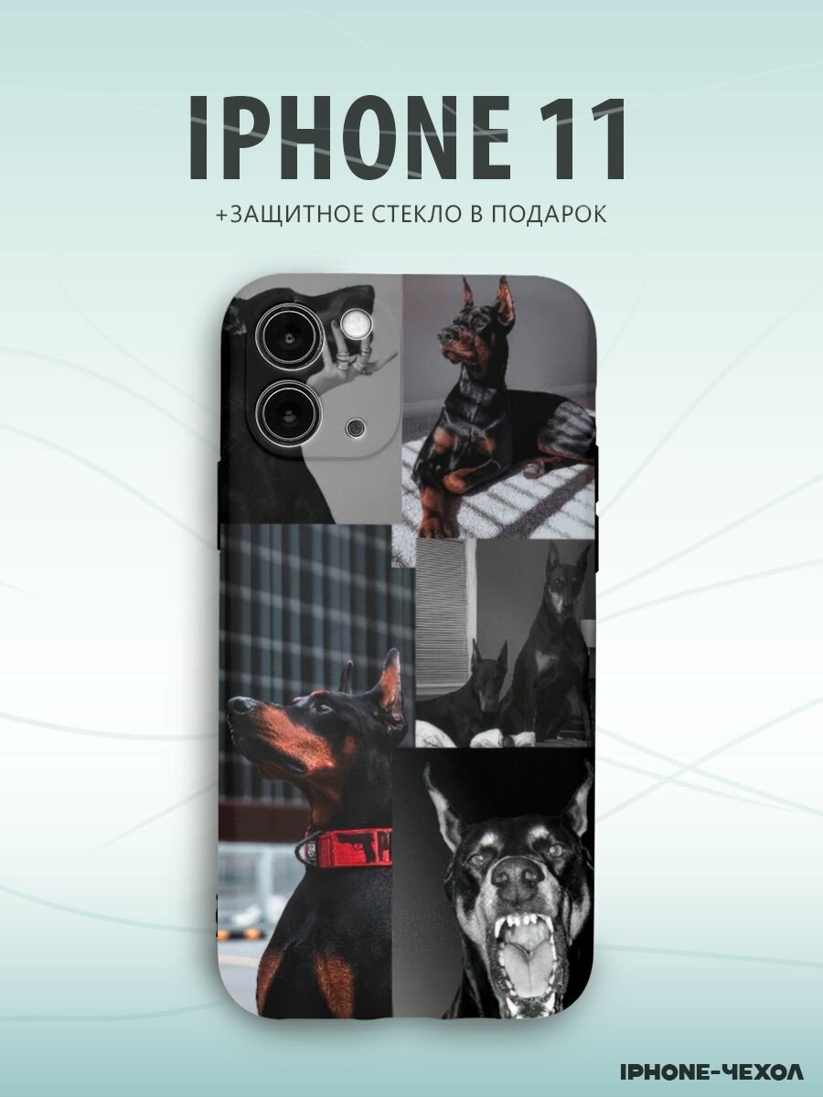 фото Чехол Iphone 11 доберман собака