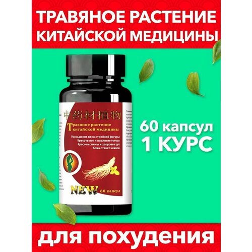 Жиросжигатель. Таблетки для похудения. 60 шт. пиколинат хрома ironman chromium picolinate 400 мг 150 капсул жиросжигатель для похудения женщин и мужчин снижение аппетита